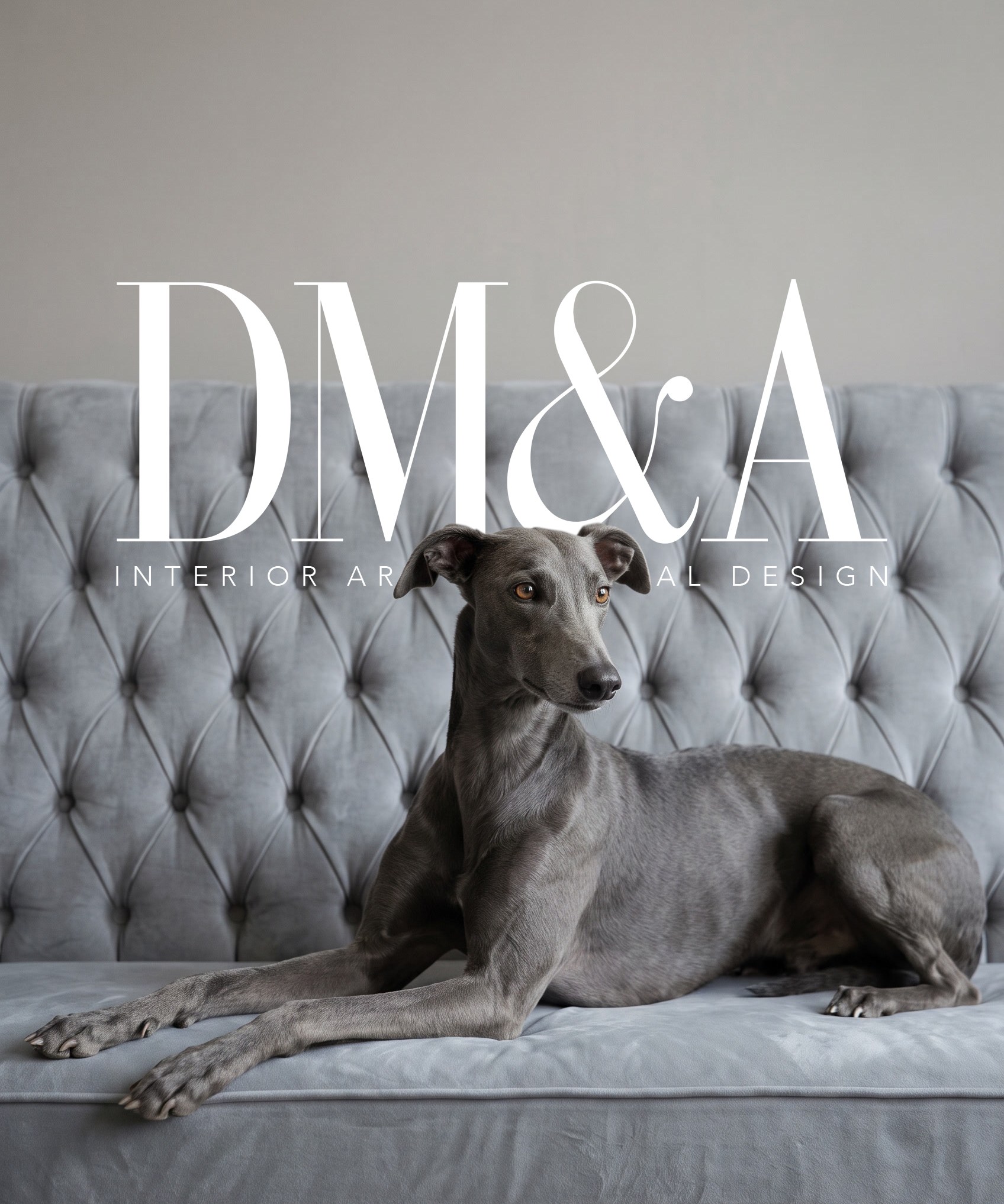 A grey whippet on a buttoned grey velvet chesterfield, the DM&A lockup and Interior Architectural Design set large above it.